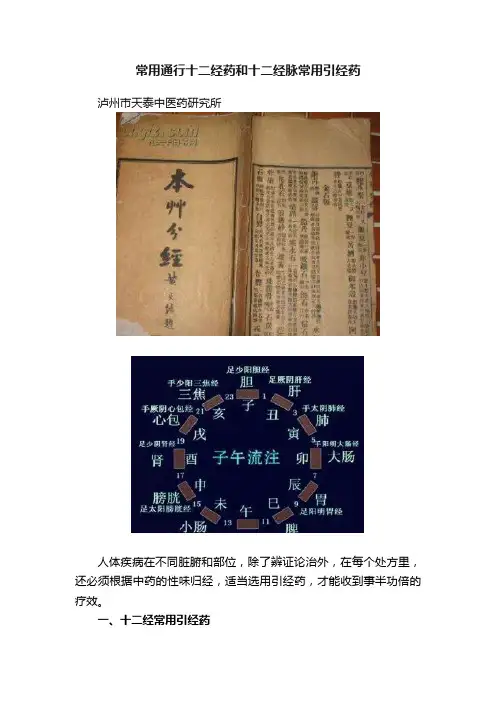 常用通行十二经药和十二经脉常用引经药