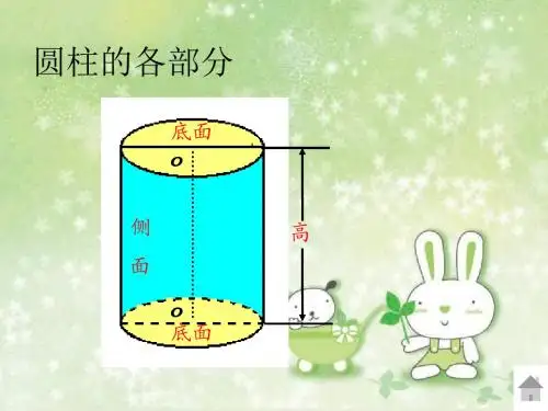 《圆锥的认识》课件ppt