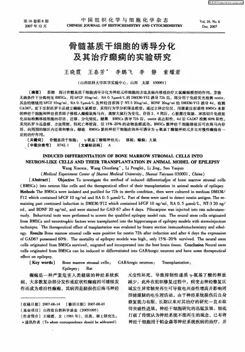 骨髓基质干细胞的诱导分化及其治疗癫痫的实验研究