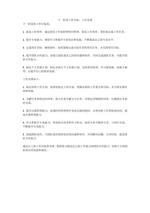 下一阶段工作目标、工作安排