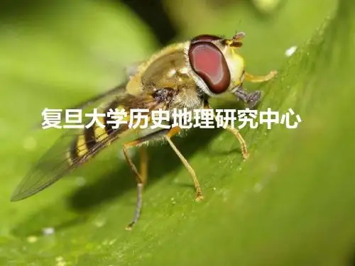 复旦大学历史地理研究中心