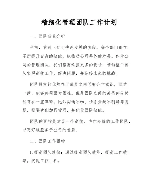 精细化管理团队工作计划