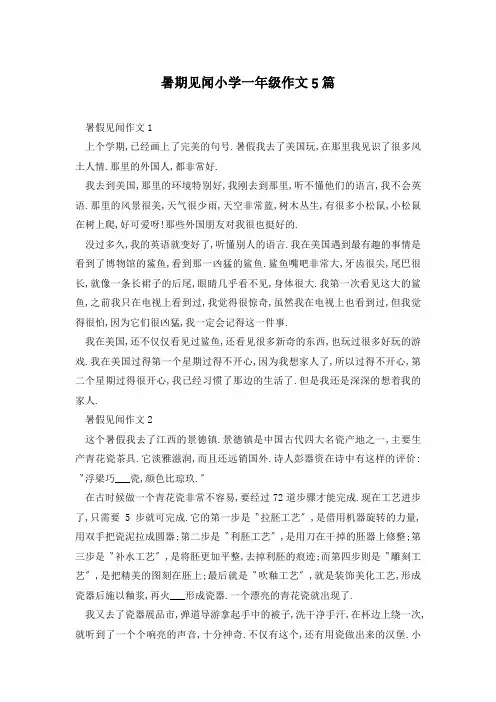 暑期见闻小学一年级作文5篇