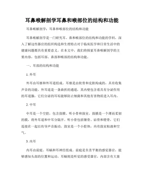 耳鼻喉解剖学耳鼻和喉部位的结构和功能