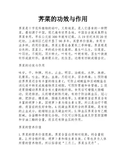荠菜的功效与作用