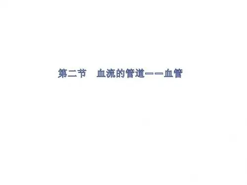 【初中生物】血流的管道——血管PPT课件17