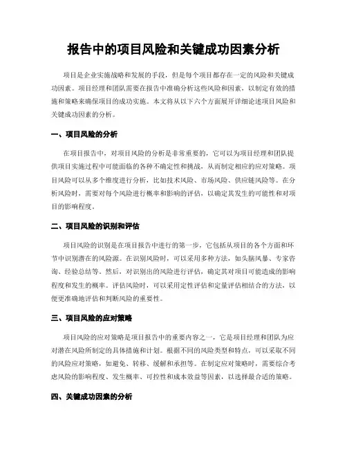 报告中的项目风险和关键成功因素分析