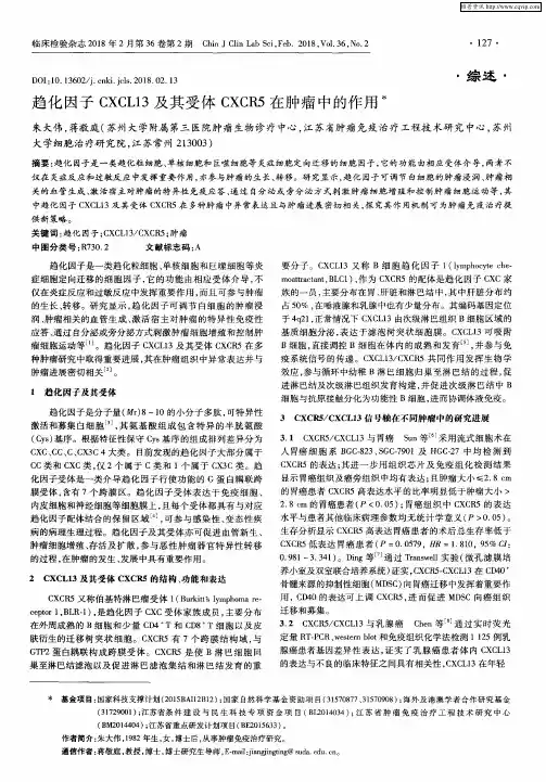 趋化因子CXCL13及其受体CXCR5在肿瘤中的作用