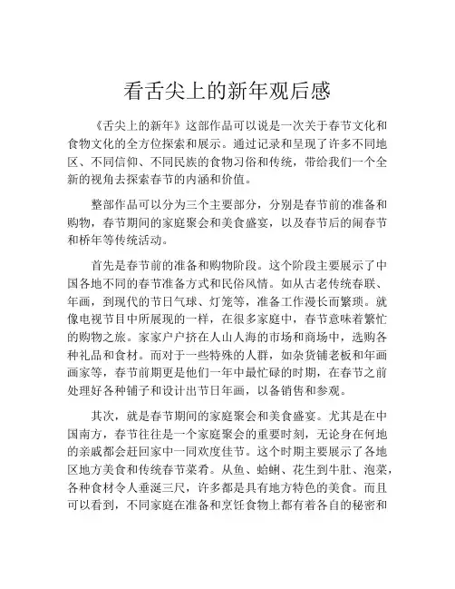 看舌尖上的新年观后感