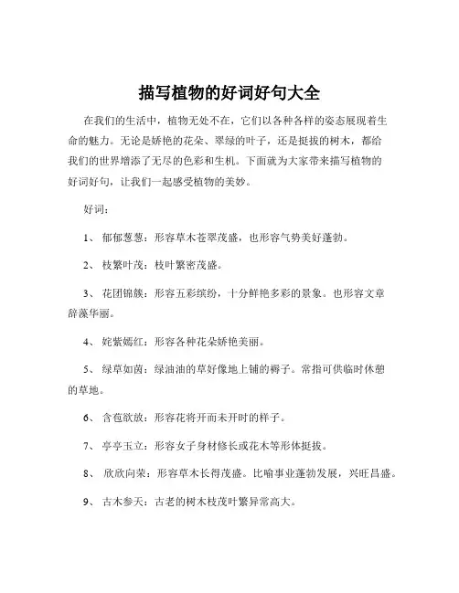 描写植物的好词好句大全