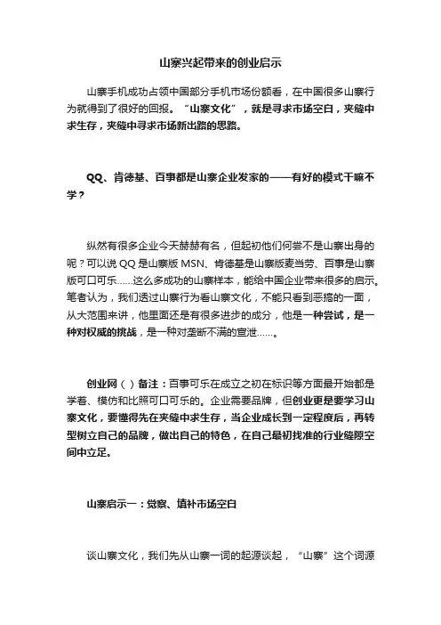 山寨兴起带来的创业启示