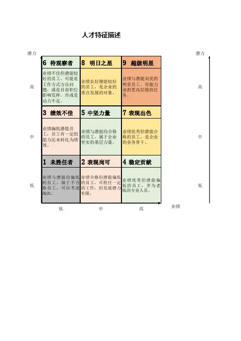 人才盘点九宫格描述-工具表单