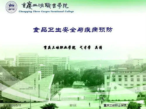 食品卫生安全与疾病预防控制ppt课件