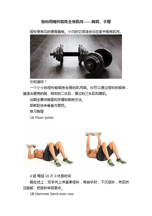 如何用哑铃锻炼全身肌肉——胸背、手臂