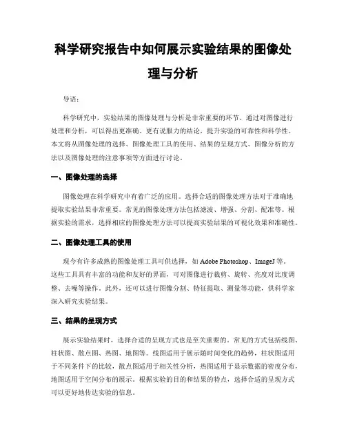 科学研究报告中如何展示实验结果的图像处理与分析