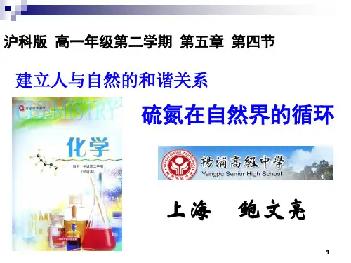 2014年全国高中化学优质课说课大赛 课题：硫氮在自然界的循环(上海 鲍文亮)