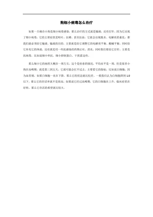 狗细小病毒怎么治疗