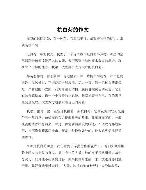 杭白菊的作文
