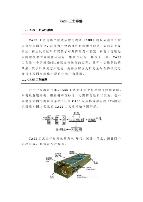 CASS工艺详解