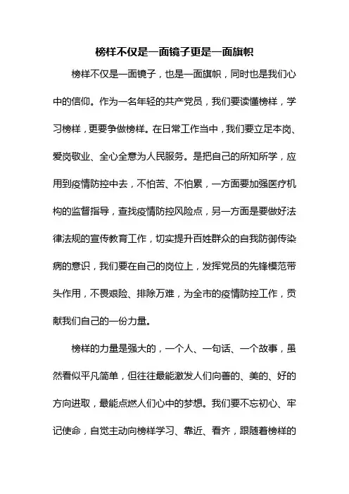 榜样不仅是一面镜子更是一面旗帜作文