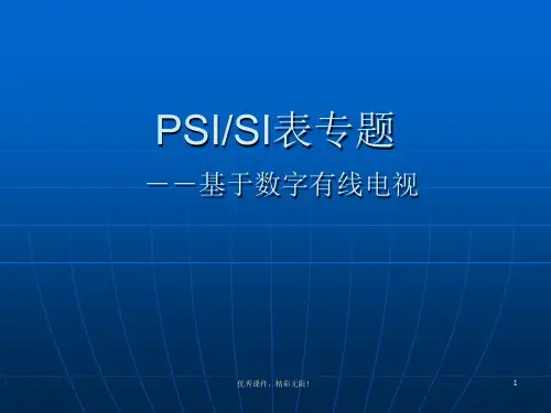 PSISI详解.ppt