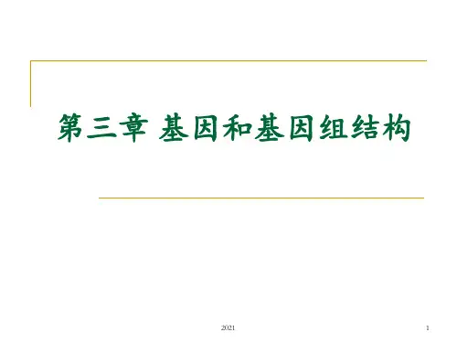 第三章-基因和基因组结构PPT课件