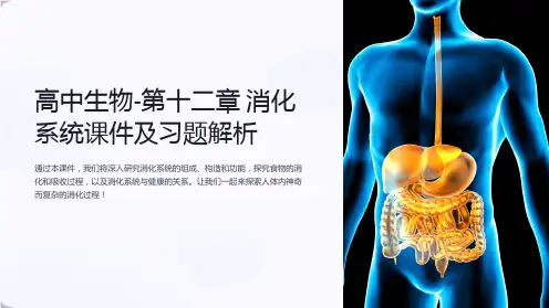 高中生物-第十二章 消化系统课件及习题解析