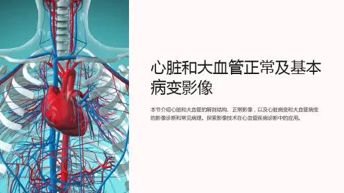 心脏和大血管正常及基本病变影像