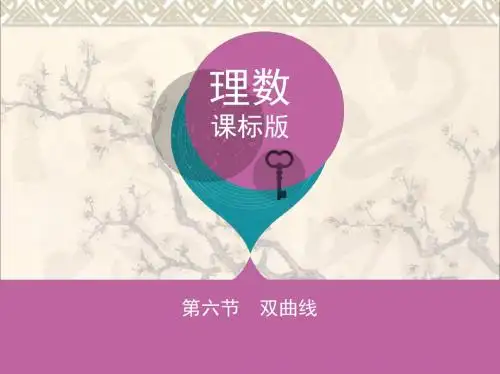 高三数学一轮复习第九章平面解析几何第六节双曲线课件理