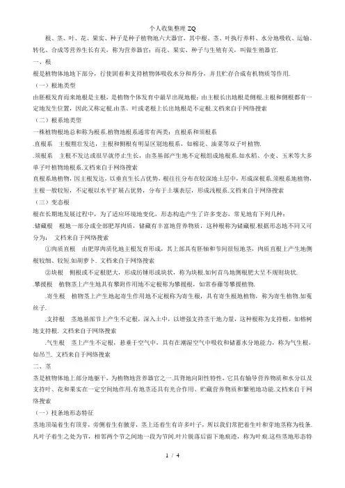 种子植物的营养器官
