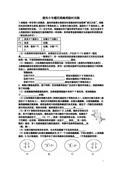 遗传小专题四果蝇类限时训练