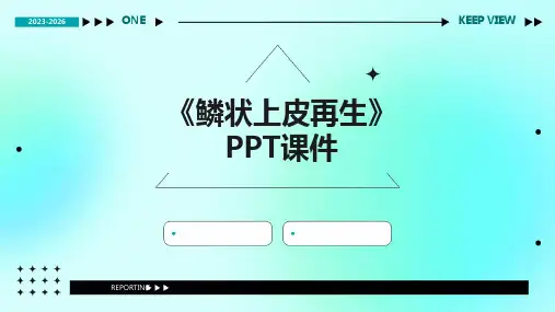 《鳞状上皮再生》课件