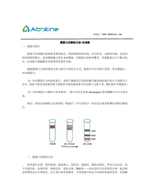 膜蛋白的提取方法-全攻略