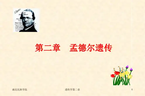 遗传学戴灼华第二版第二章孟德尔遗传