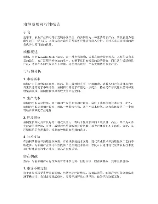 油桐发展可行性报告