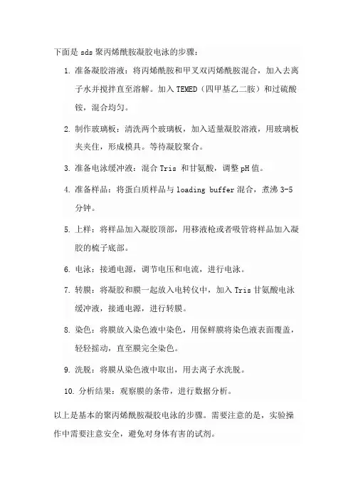 sds聚丙烯酰胺凝胶电泳步骤