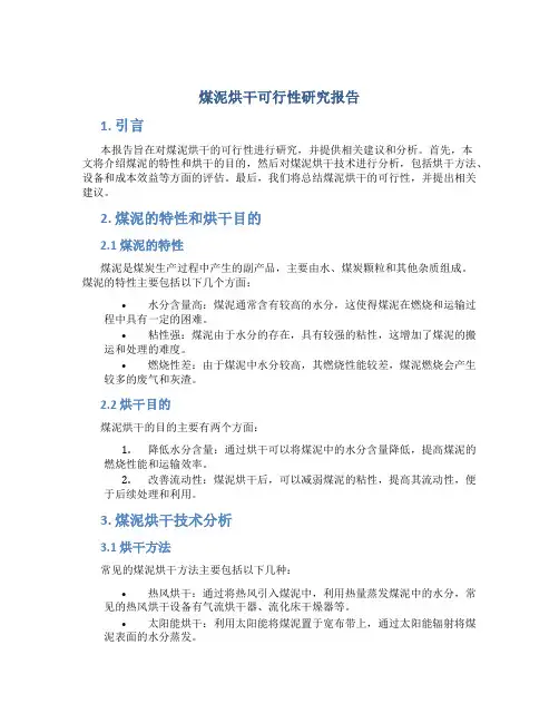 煤泥烘干可行性研究报告