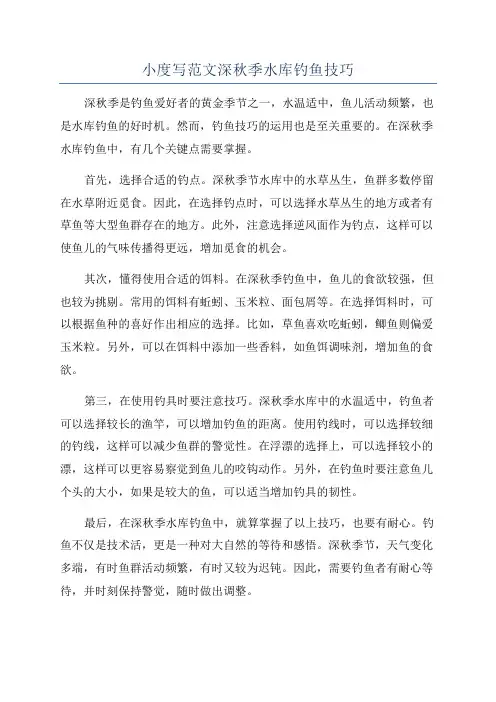 小度写范文深秋季水库钓鱼技巧
