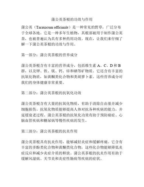 蒲公英茶根的功效与作用