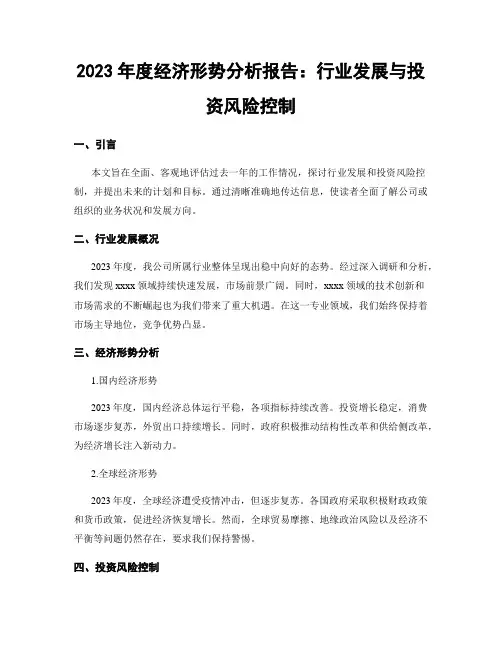 2023年度经济形势分析报告：行业发展与投资风险控制