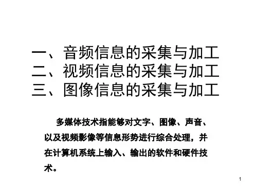 第五章音频视频图像信息的加工PPT课件