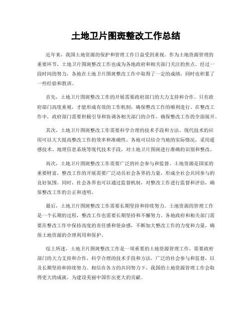 土地卫片图斑整改工作总结