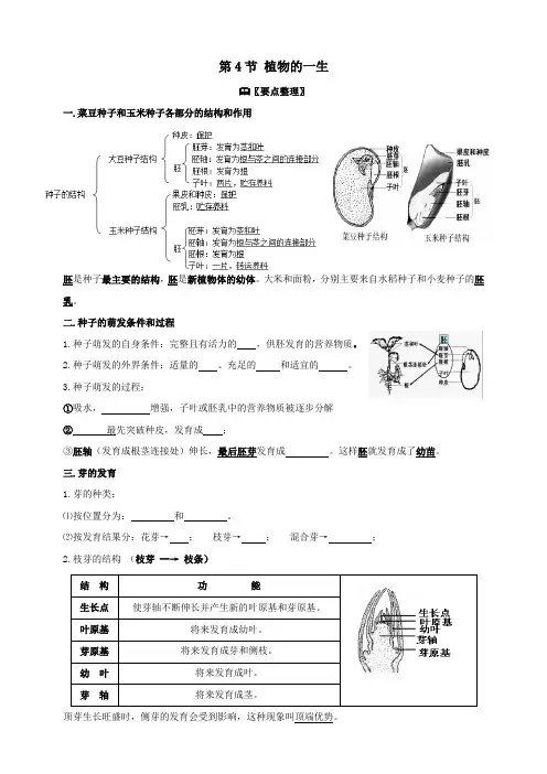1.4 植物的一生   学案