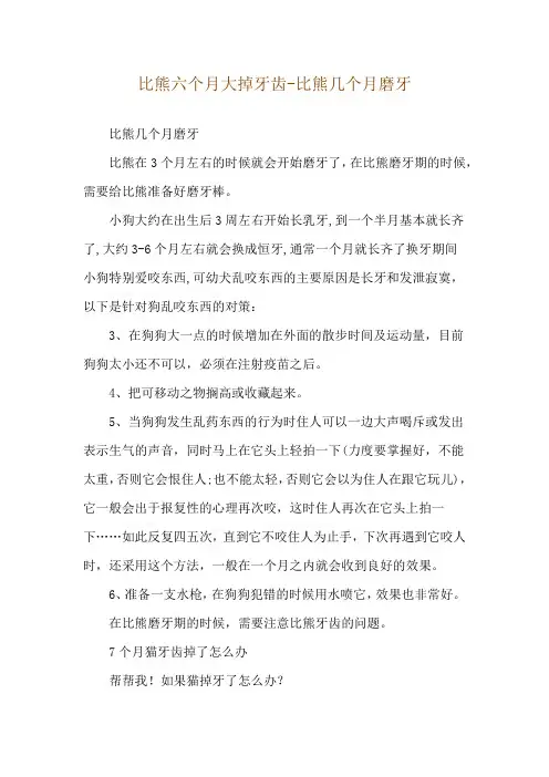 比熊六个月大掉牙齿-比熊几个月磨牙