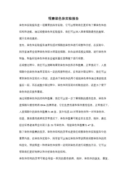 观察染色体实验报告