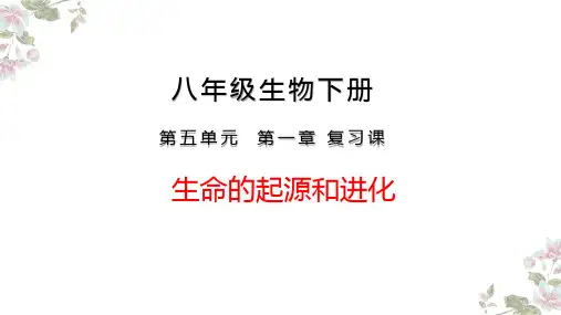 八年级生物下册《生命的起源和进化》复习课市优质课一等奖课件