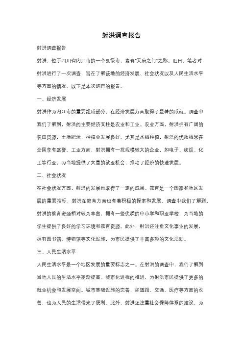 射洪调查报告