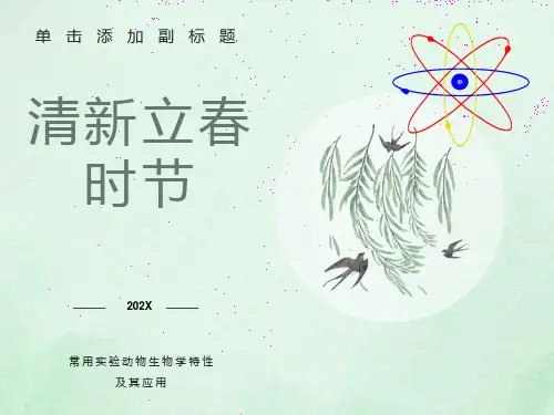 常用实验动物介绍