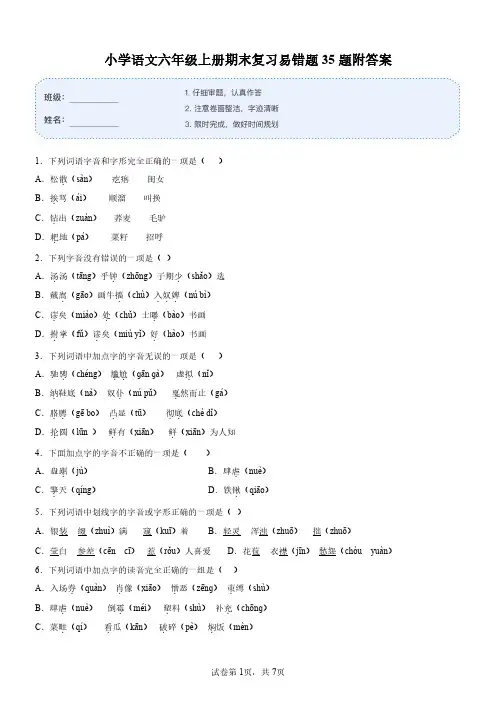 部编版语文六年级上册期末专项复习：易错题
