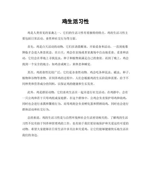 鸡生活习性